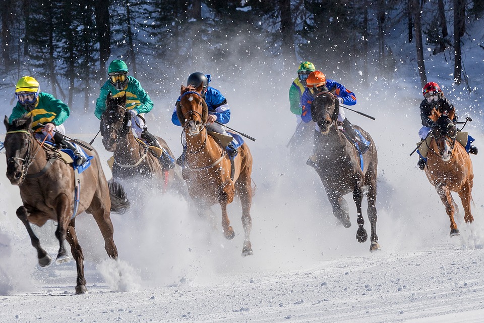 how to get rid of sarcoids on horses_protect a horse from winter