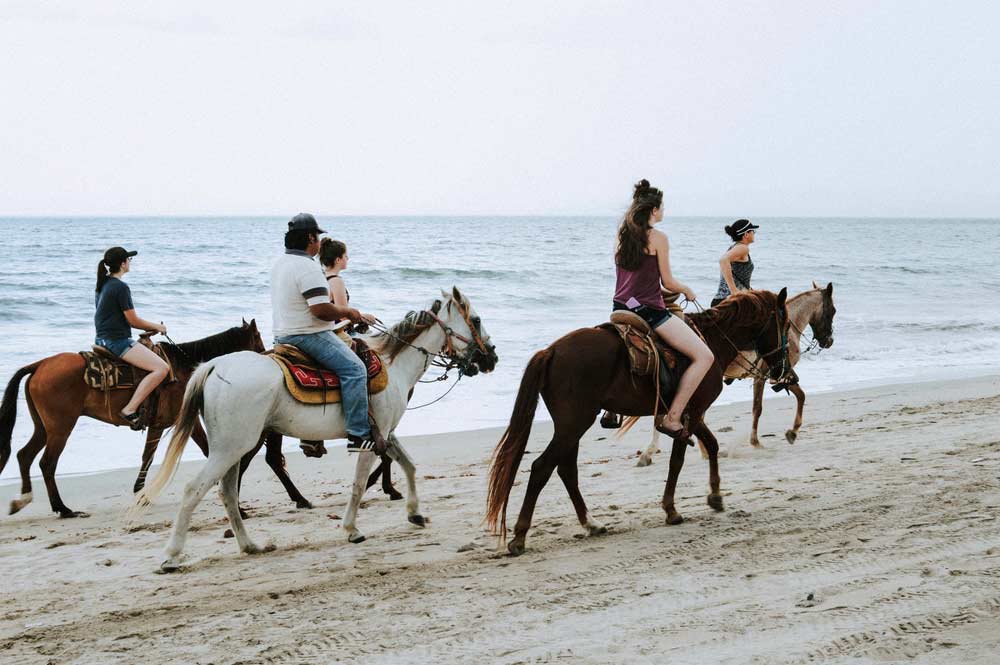 correct riding position on a horse_Autumn Horse Care_why do horses roll on the ground