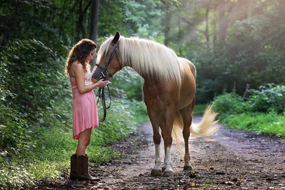therapeutic horseback riding_Equine Body Language_Navicular Disease