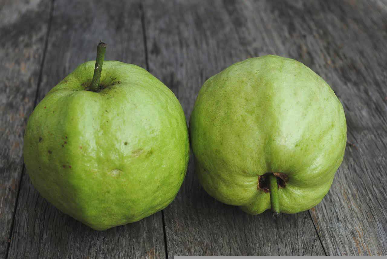 foods that are good for your stomach_Power Of Groundedness