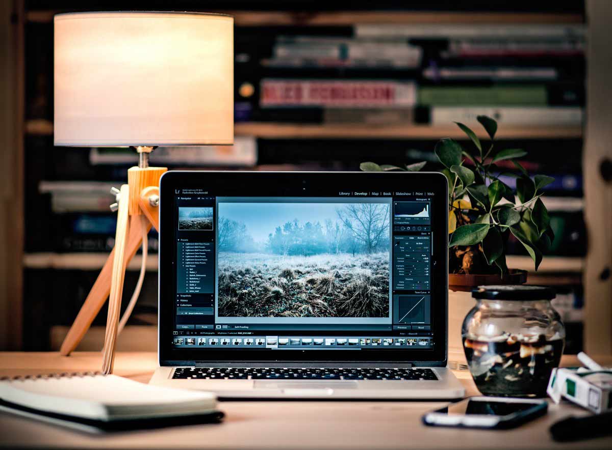 importance of graphic design in websites_The Magic Of Starting Over PLR review_Google Bard AI for YouTube Video: Create And Rank Faster