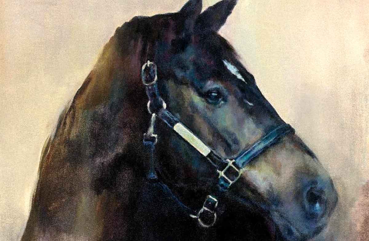 Baise horse_Horro Horse