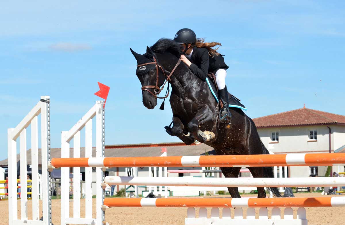 Horse Win Race