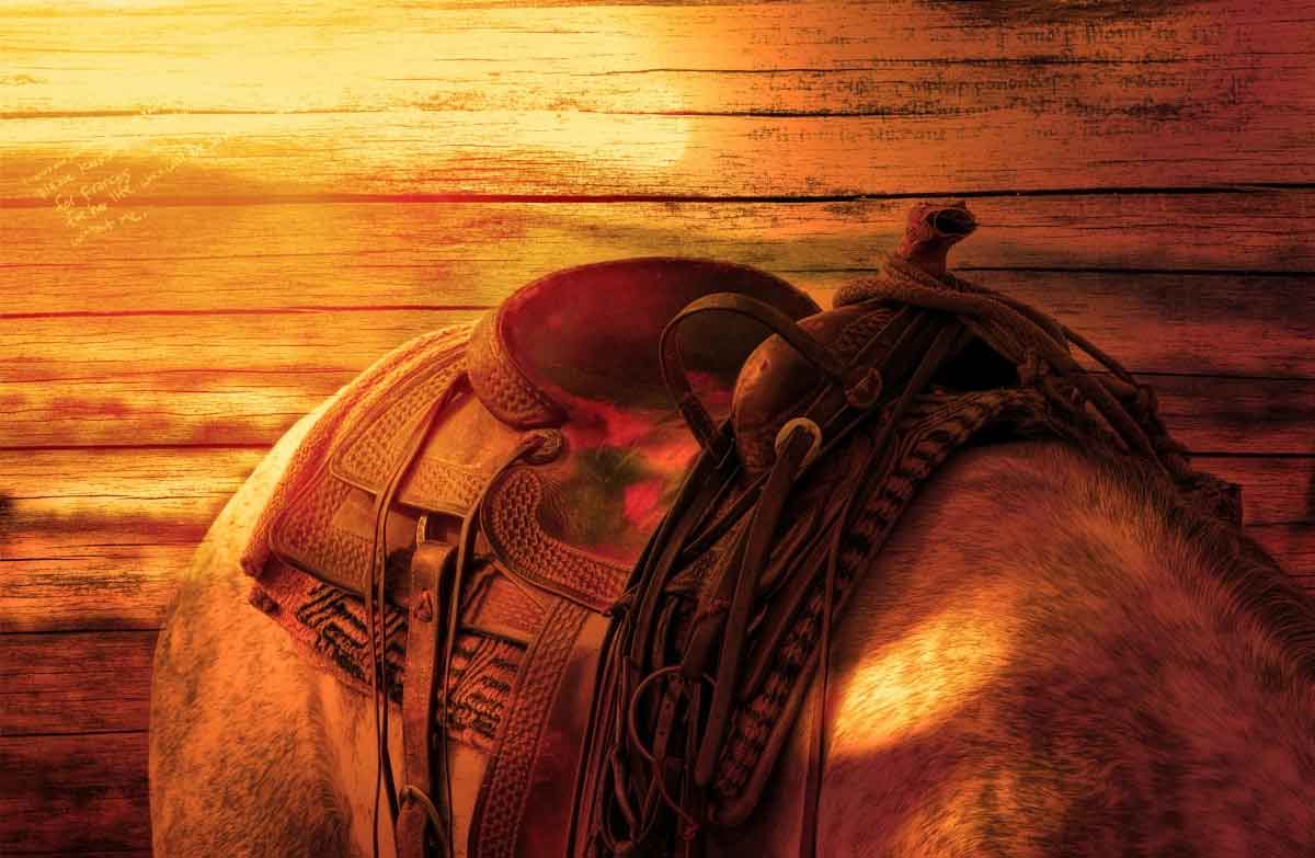 How to Keep Your Horse Healthy